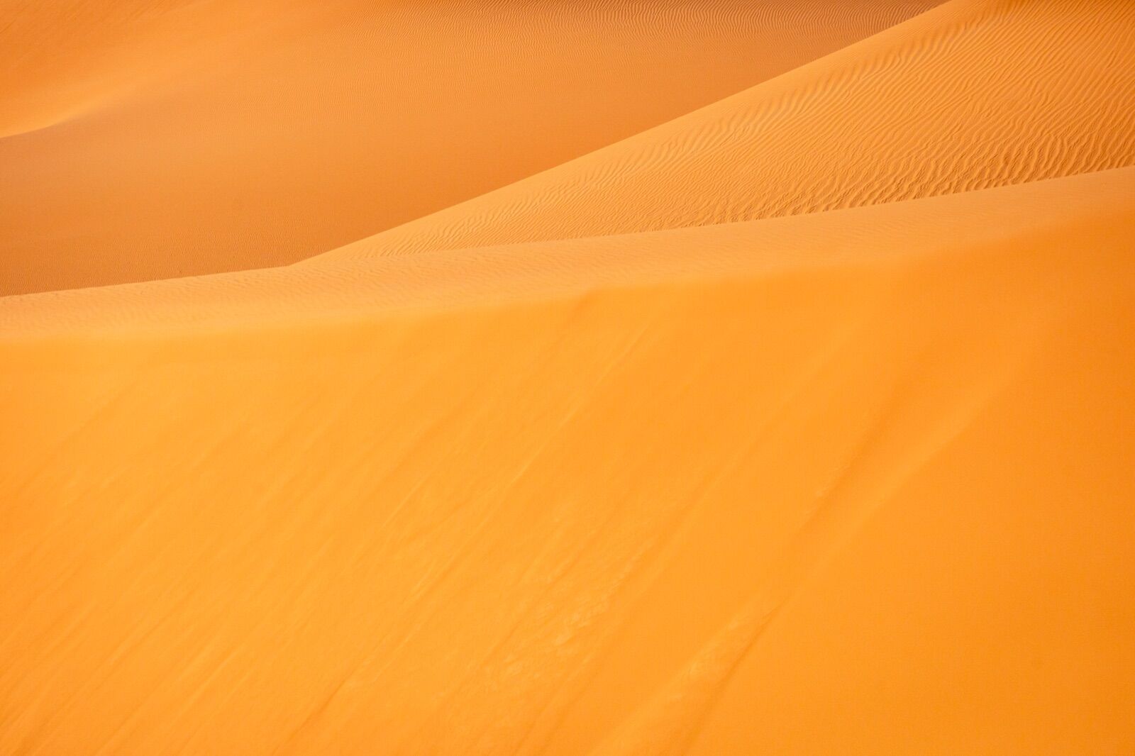 Timimoun, Lo esencial del Oasis rojo 8