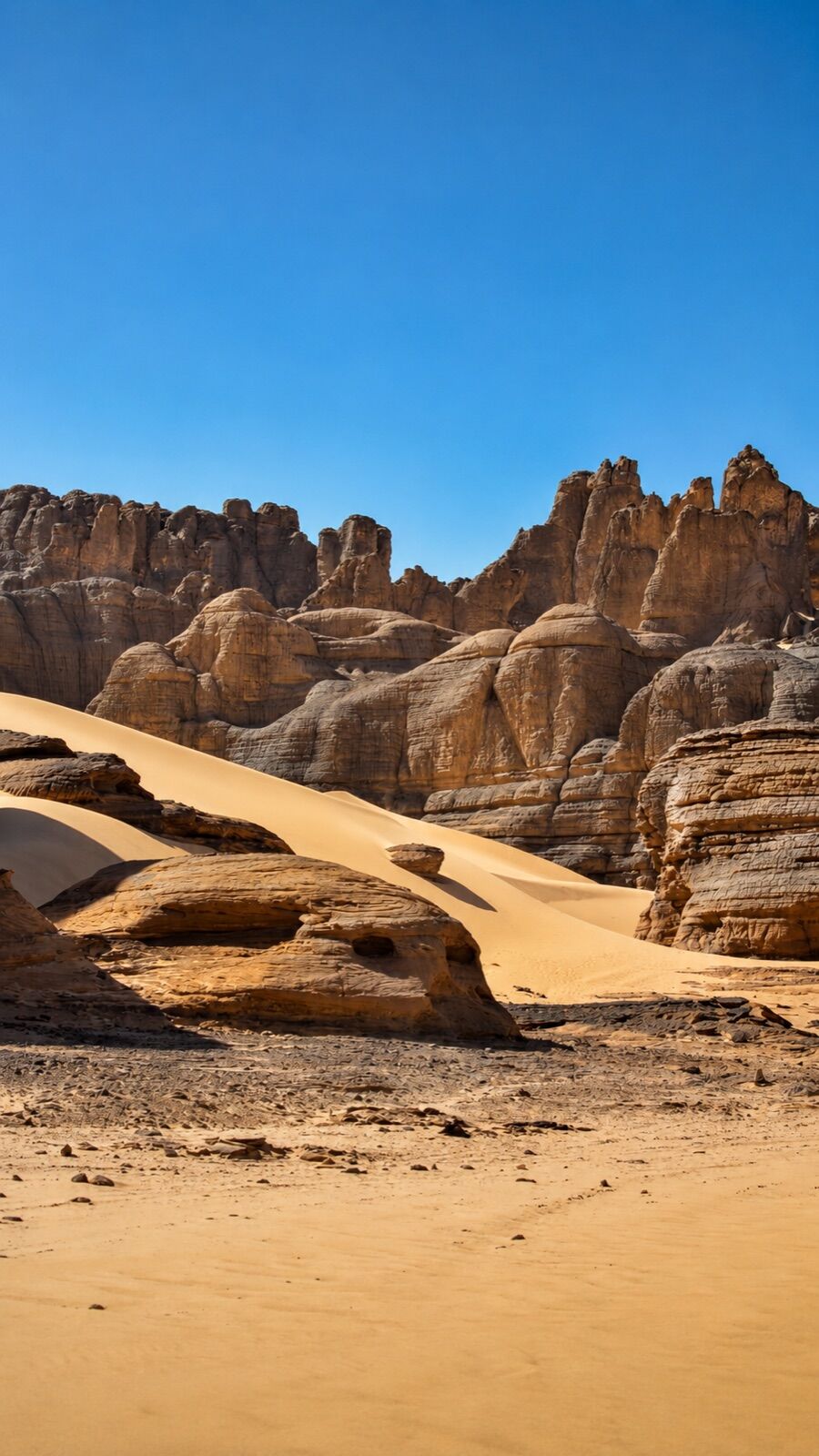 Tamanrasset-il Tassili dell'Hoggar, tra roccia e sabbia 9